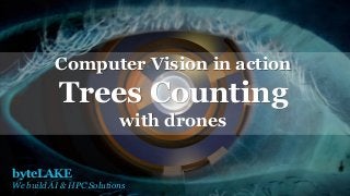 byteLAKE
We build AI & HPC Solutions
Computer Vision in action
Trees Counting
with drones
 