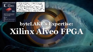 byteLAKE’s Expertise:
Xilinx Alveo FPGA
 