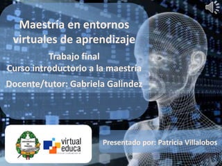 Maestría en entornos 
virtuales de aprendizaje 
Trabajo final 
Curso introductorio a la maestría 
Docente/tutor: Gabriela Galindez 
Presentado por: Patricia Villalobos 
 