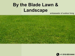 By the Blade Lawn &
Landscape ambassador of outdoor living
+1 816-505-0444
 