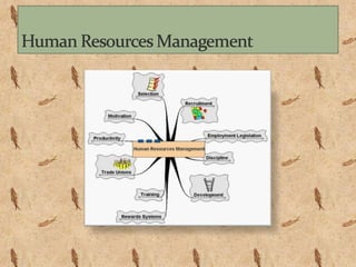 Human Resource Management (in TATA Motors) | PPSX