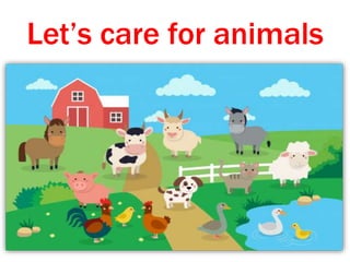 Let’s care for animals
 