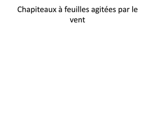 Chapiteaux à feuilles agitées par le vent