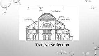 Transverse Section
 