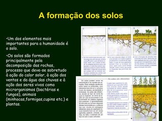 A formação dos solos
•Um dos elementos mais
importantes para a humanidade é
o solo.
•Os solos são formados
principalmente pela
decomposição das rochas,
processo que deve-se sobretudo
à ação do calor solar, à ação dos
ventos e da água das chuvas e à
ação dos seres vivos como
microrganismos (bactérias e
fungos), animais
(minhocas,formigas,cupins etc.) e
plantas.
 