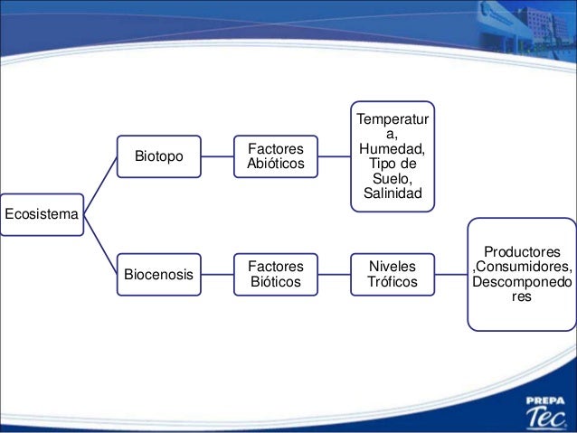 17. factores bioticos y abioticos