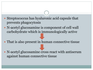  Streptococcus has hyaluronic acid capsule that 
prevents phagocytosis 
 N-acetyl glucosamine is component of cell wall 
carbohydrate which is immunologically active 
 That is also present in human connective tissue 
 N-acetyl glucosamine cross react with antiserum 
against human connective tissue 
 