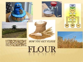 How you get flour

FLOUR

 
