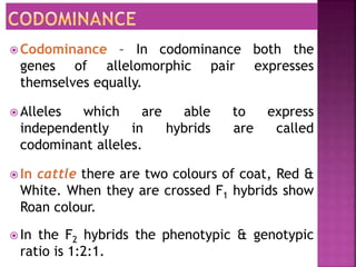 Codominance – In codominance both the
genes of allelomorphic pair expresses
themselves equally.
 Alleles which are able to express
independently in hybrids are called
codominant alleles.
 In cattle there are two colours of coat, Red &
White. When they are crossed F1 hybrids show
Roan colour.
 In the F2 hybrids the phenotypic & genotypic
ratio is 1:2:1.
 