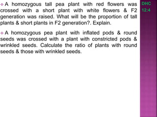  A homozygous tall pea plant with red flowers was
crossed with a short plant with white flowers & F2
generation was raised. What will be the proportion of tall
plants & short plants in F2 generation?. Explain.
 A homozygous pea plant with inflated pods & round
seeds was crossed with a plant with constricted pods &
wrinkled seeds. Calculate the ratio of plants with round
seeds & those with wrinkled seeds.
DHC
12:4
 