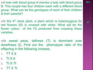 A man with blood group A marries a lady with blood group
B. This couple has four children each with a different blood
group. What can be the genotypes of each of their children
& their parents?.
MA
In the 4O clock plant, a plant which is heterozygous for
red flowers (R) is crossed with white. What will be the
flower colour of the F2 produced from crossing these
varieties.
ID
In sweet peas, tallness (T) is dominant over
dwarfness (t). Find out the phenotypic ratio of the
offspring in the following crosses.
1. TT X tt
2. Tt X tt
3. Tt X Tt
4. TT X Tt
 