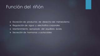Función del riñón
Excreción de productos de desecho del metabolismo
Regulación de agua y electrolitos corporales
Mantenimiento apropiado del equilibrio ácido
Secreción de hormonas y autacoides