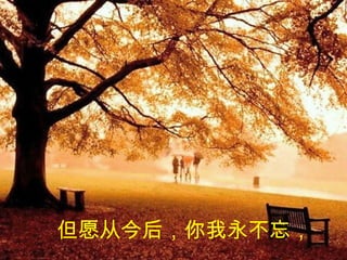但愿从今后，你我永不忘，   