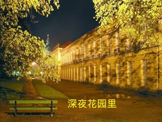 深夜花园里 