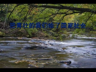 把青壮的我们给了国家社会   