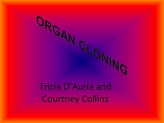 Tricia D’Auria and Courtney Collins 
