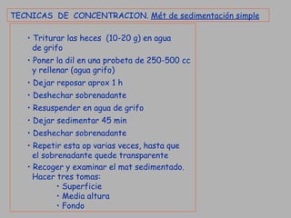 TECNICAS  DE  CONCENTRACION.  Mét de sedimentación simple   Triturar las heces  (10-20 g) en agua  de grifo Poner la dil en una probeta de 250-500 cc  y rellenar (agua grifo) Dejar reposar aprox 1 h Deshechar sobrenadante Resuspender en agua de grifo Dejar sedimentar 45 min Deshechar sobrenadante Repetir esta op varias veces, hasta que el sobrenadante quede transparente Recoger y examinar el mat sedimentado. Hacer tres tomas: Superficie Media altura Fondo  