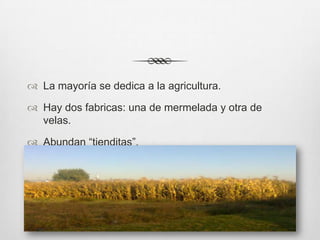  La mayoría se dedica a la agricultura.

 Hay dos fabricas: una de mermelada y otra de
  velas.

 Abundan “tienditas”.
 