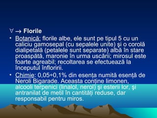 ∀ → Florile
• Botanică: florile albe, ele sunt pe tipul 5 cu un
  caliciu gamosepal (cu sepalele unite) şi o corolă
  dialipetală (petalele sunt separate) albă în stare
  proaspătă, maronie în urma uscării; mirosul este
  foarte agreabil; recoltarea se efectuează la
  începutul înfloririi.
• Chimie: 0,05÷0,1% din esenţa numită esenţă de
  Neroli Bigarade. Aceasta conţine limonen,
  alcooli terpenici (linalol, nerol) şi esterii lor, şi
  antranilat de metil în cantităţi reduse, dar
  responsabil pentru miros.
 