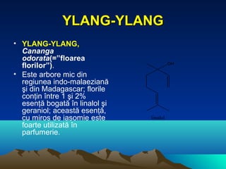 YLANG-YLANG
• YLANG-YLANG,
  Cananga
  odorata(=”floarea
  florilor”).                             OH

• Este arbore mic din
  regiunea indo-malaeziană
  şi din Madagascar; florile
  conţin între 1 şi 2%
  esenţă bogată în linalol şi
  geraniol; această esenţă,
  cu miros de iasomie este      linalol
  foarte utilizată în
  parfumerie.
 