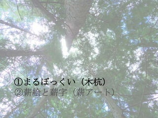 自然環境デザインスタジオ13 C班 まるぼっくい 薪絵と薪字