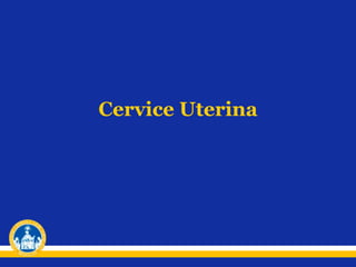 Cervice Uterina
 