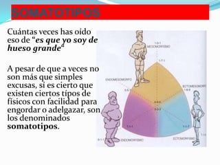 SOMATOTIPOS
Cuántas veces has oído
eso de “es que yo soy de
hueso grande“
A pesar de que a veces no
son más que simples
excusas, sí es cierto que
existen ciertos típos de
físicos con facilidad para
engordar o adelgazar, son
los denominados
somatotipos.

 