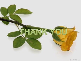 Cash management hi fi