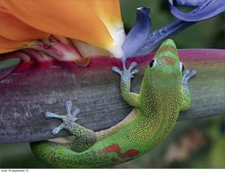 lundi 16 septembre 13

 