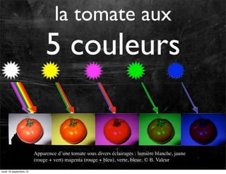 la tomate aux

5 couleurs

Apparence d’une tomate sous divers éclairages : lumière blanche, jaune
(rouge + vert) magenta (rouge + bleu), verte, bleue. © B. Valeur
lundi 16 septembre 13

 