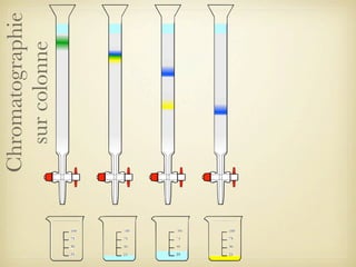 Chromatographie
sur colonne

 