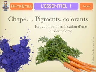 PHYKÊMIA

L’ESSENTIEL 1

1èreS

Chap4.1. Pigments, colorants
P. Bellanca-Penel, Lycée Ampère, Lyon

Extraction et identiﬁcation d’une
espèce colorée

 