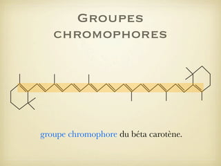 Groupes
chromophores

groupe chromophore du béta carotène.

 