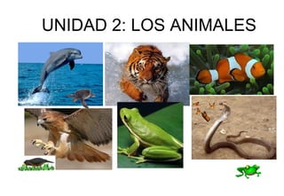 UNIDAD 2: LOS ANIMALES
 