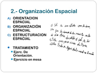 2.- Organización Espacial
A) ORIENTACION
ESPACIAL
B) ORGANIZACIÓN
ESPACIAL
C) ESTRUCTURACION
ESPACIAL
 TRATAMIENTO
Ejerc. De
Orientación.
Ejercicio en mesa
 