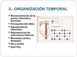 3.- ORGANIZACIÓN TEMPORAL
Reconocimiento de la
pausa, intervalo y
duracion
Percepción del ritmo
Agrupación de
intervalos
Reproduccion de
estructuras ritmicas
Momentos (antes,
después)
Día y noche
Ayer hoy
 