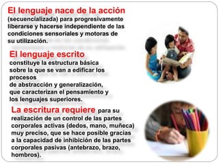 El lenguaje nace de la acción
(secuencializada) para progresivamente
liberarse y hacerse independiente de las
condiciones sensoriales y motoras de
su utilización.
El lenguaje escrito
constituye la estructura básica
sobre la que se van a edificar los
procesos
de abstracción y generalización,
que caracterizan el pensamiento y
los lenguajes superiores.
La escritura requiere para su
realización de un control de las partes
corporales activas (dedos, mano, muñeca)
muy preciso, que se hace posible gracias
a la capacidad de inhibición de las partes
corporales pasivas (antebrazo, brazo,
hombros).
 