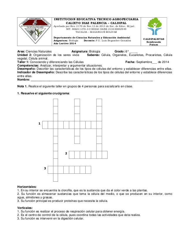 Crucigrama De La Celula Animal Y Vegetal Resuelto Consejos Celulares Crucigrama De La Celula Animal Y Vegetal Resuelto Consejos Celulares