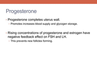Progesterone 
• Progesterone completes uterus wall. 
• Promotes increases blood supply and glycogen storage. 
• Rising concentrations of progesterone and estrogen have 
negative feedback effect on FSH and LH. 
• This prevents new follicles forming. 
 