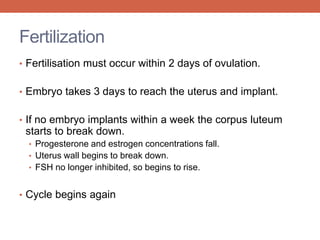 Fertilization 
• Fertilisation must occur within 2 days of ovulation. 
• Embryo takes 3 days to reach the uterus and implant. 
• If no embryo implants within a week the corpus luteum 
starts to break down. 
• Progesterone and estrogen concentrations fall. 
• Uterus wall begins to break down. 
• FSH no longer inhibited, so begins to rise. 
• Cycle begins again 
 