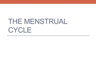 THE MENSTRUAL 
CYCLE 
 
