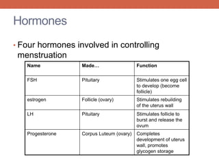 Hormones 
• Four hormones involved in controlling 
menstruation 
Name Made… Function 
FSH Pituitary Stimulates one egg cell 
to develop (become 
follicle) 
estrogen Follicle (ovary) Stimulates rebuilding 
of the uterus wall 
LH Pituitary Stimulates follicle to 
burst and release the 
ovum 
Progesterone Corpus Luteum (ovary) Completes 
development of uterus 
wall, promotes 
glycogen storage 
 