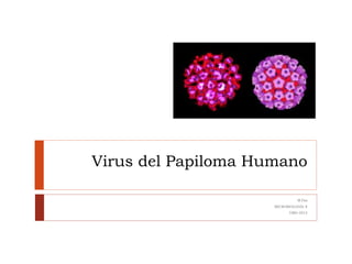 Virus del Papiloma Humano
M.Paz
MICROBIOLOGÍA II
UMG-2012
 