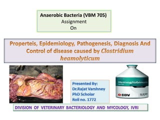 Anaerobic Bacteria (VBM 705)
Assignment
On
 