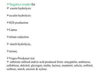 Negative results for
 casein hydrolysis
esculin hydrolysis
H2S production
Lipase
nitrate reduction
 starch hydrolysis,
urease,
Voges-Proskauer test
 substrate utilized and/or acid produced from: amygdalin, arabinose,
cellobiose, dulcitol, glycogen, inulin, lactose, mannitol, salicin, sorbitol,
sorbose, starch, sucrose & xylose.
 