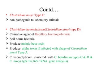 Contd….
• Clostridium novyi Type C:
 non-pathogenic to laboratory animals
• Clostridium haemolyticum(Clostridium novyi type D)
 Causative agent of Bacillary haemoglobinuria
 Soil borne bacteria
 Produce mainly beta toxin
 Produce alpha toxin if infected with phage of Clostridium
novyi Type A
 C. haemolyticum clustered with C. botulinum types C & D &
C. novyi type B (16S r RNA gene analysis).
 