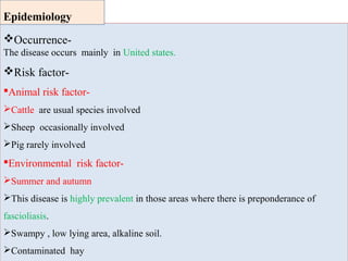 Occurrence-
The disease occurs mainly in United states.
Risk factor-
Animal risk factor-
Cattle are usual species involved
Sheep occasionally involved
Pig rarely involved
Environmental risk factor-
Summer and autumn
This disease is highly prevalent in those areas where there is preponderance of
fascioliasis.
Swampy , low lying area, alkaline soil.
Contaminated hay
Epidemiology
 