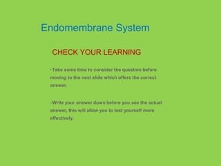 •Take some time to consider the question before
moving to the next slide which offers the correct
answer.
•Write your answer down before you see the actual
answer, this will allow you to test yourself more
effectively.
CHECK YOUR LEARNING
Endomembrane System
 