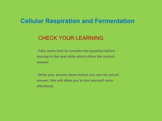 •Take some time to consider the question before
moving to the next slide which offers the correct
answer.
•Write your answer down before you see the actual
answer, this will allow you to test yourself more
effectively.
CHECK YOUR LEARNING
Cellular Respiration and Fermentation
 