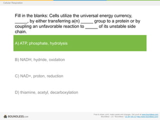 Free to share, print, make copies and changes. Get yours at www.boundless.com
Boundless - LO. "Boundless." CC BY-SA 3.0 http://www.boundless.com/
Cellular Respiration
Fill in the blanks: Cells utilize the universal energy currency,
_____, by either transferring a(n) _____ group to a protein or by
coupling an unfavorable reaction to _____ of its unstable side
chain.
A) ATP, phosphate, hydrolysis
B) NADH, hydride, oxidation
C) NAD+, proton, reduction
D) thiamine, acetyl, decarboxylation
 